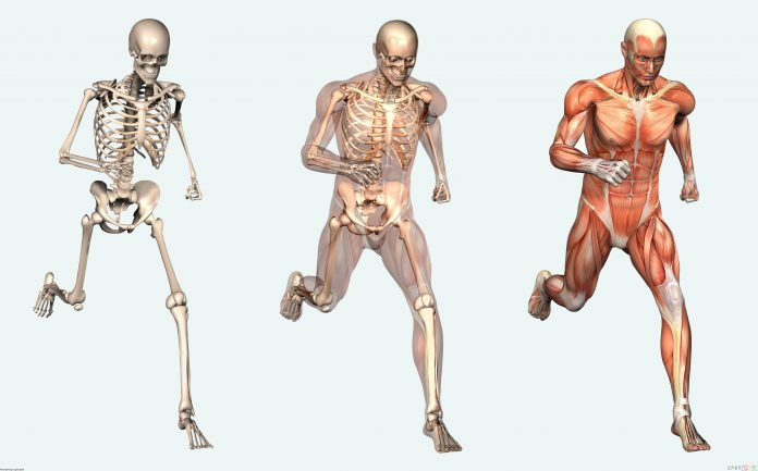Human-body-power بدن انسان در تنگنا