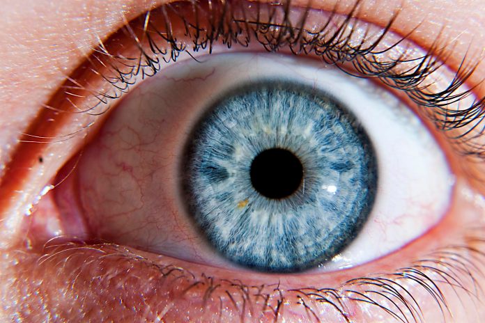 Human_eye بدن انسان در تنگنا بینایی