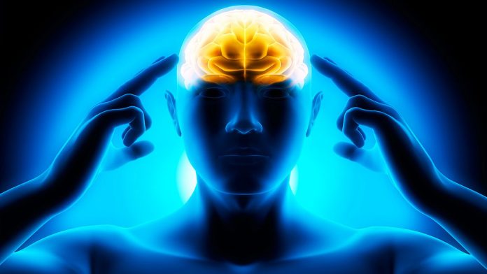 brain-power قدرت مغز