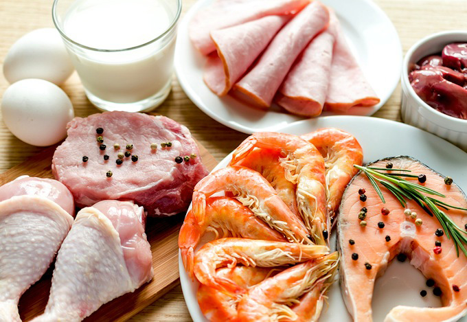 protein رژیم پروتیین بالا