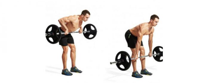 Barbell-Row زیر بغل پارویی با هالتر