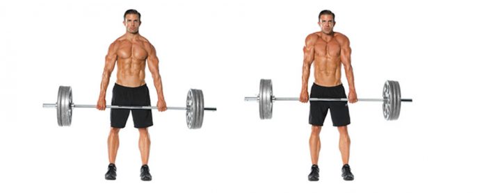 Barbell-Shrug شراگ با هالتر