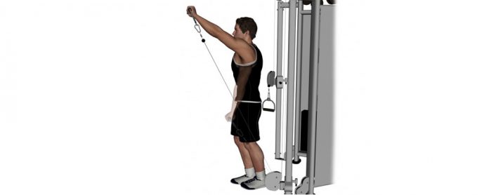 Cable-front-raise سرشانه سیم کش از جلو