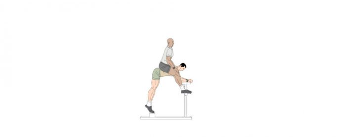Donkey-Calf-Raise