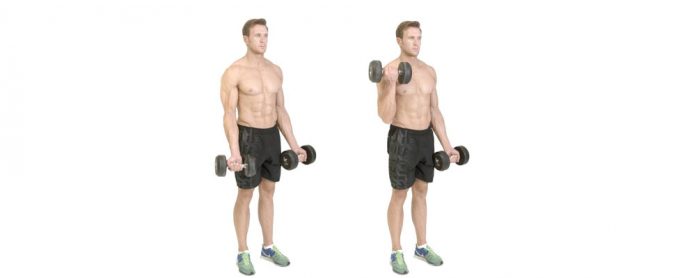 Dumbbell-Curl جلو بازو دمبل