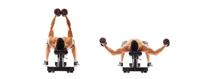 Dumbbell-Fly قفسه سینه دمبل فلای