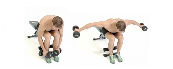 Dumbbell-Seated-Bent-Over-Raise سرشانه دمبل خم