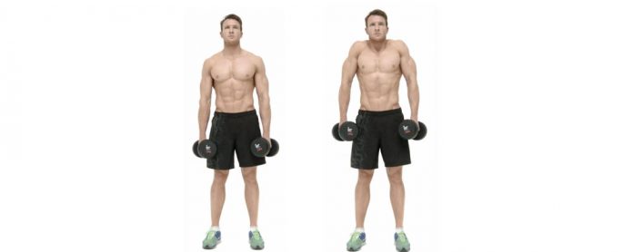dumbbell-Shrug دمبل با شراگ