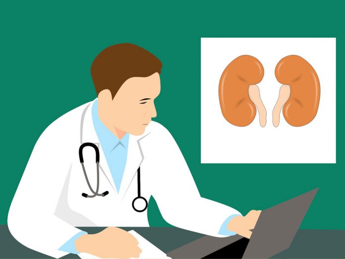 kidney-diseas غذاهای مفید برای نارسایی کلیه