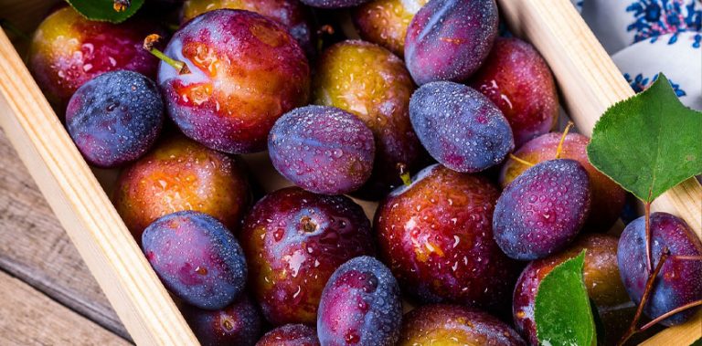 مواد غذایی برای درمان یبوست