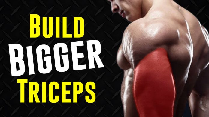 Complete_Triceps_Gym_Routine_Build_Bigger_Triceps