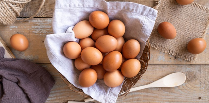 تخم مرغ کم کالری است