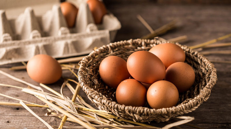 سفیده تخم مرغ انتخاب مناسبی برای رژیم افراد بیماری کلیوی است