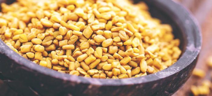 fenugreek_HEADER