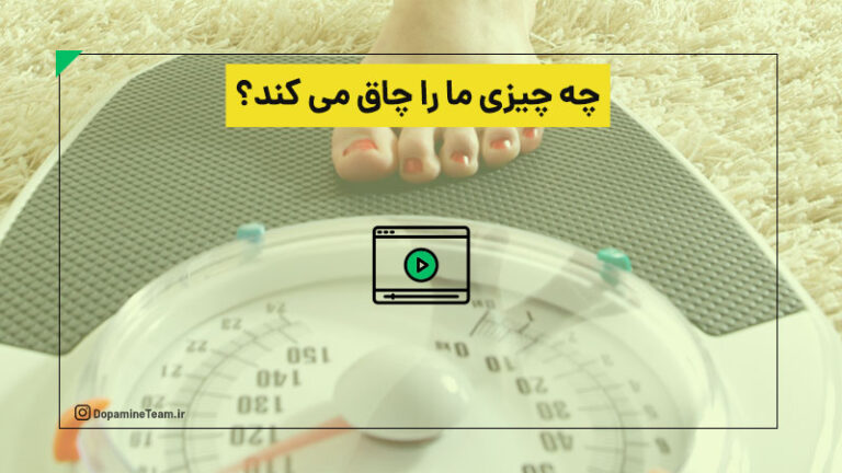 چه چیزی ما را چاق می کند