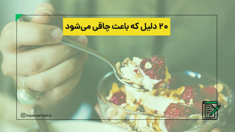 ۲۰ دلیل که باعث چاقی می شود